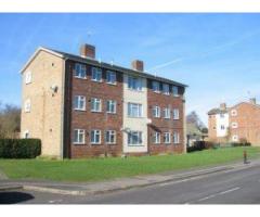 Home Buyer Report of a Gas and Electrical Installation on 0207 175 0060 in London